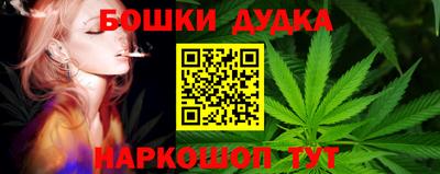 ПСИЛОЦИБИНОВЫЕ ГРИБЫ Новозыбков
