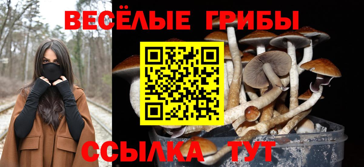 Псилоцибиновые грибы MAGIC MUSHROOMS  наркота  Усинск  Вход с VPN  Галлюциногенные грибы MAGIC MUSHROOMS 